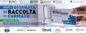 dona farmaco 2019