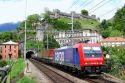 ferrobonus