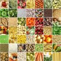 filiera agroalimentare
