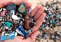 microplastiche