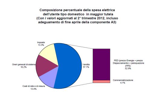 percentuale spesa elettrica utente medio